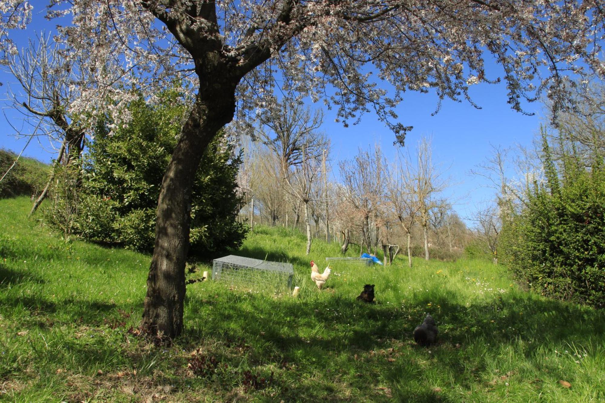 B&B Ride Appennino Montefiorino Exterior photo